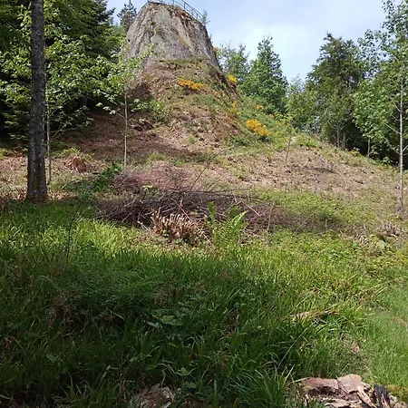 Urlaub Auf Dem Haenslehof Lejlighed Elzach Eksteriør billede