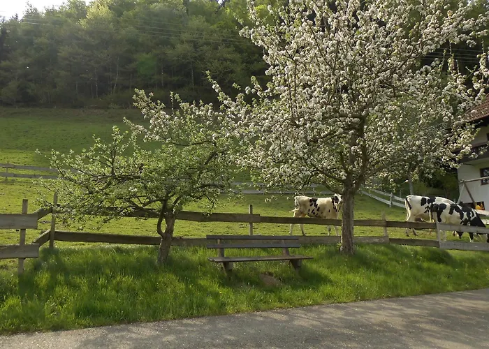 Urlaub Auf Dem Haenslehof