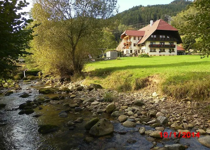Urlaub Auf Dem Haenslehof