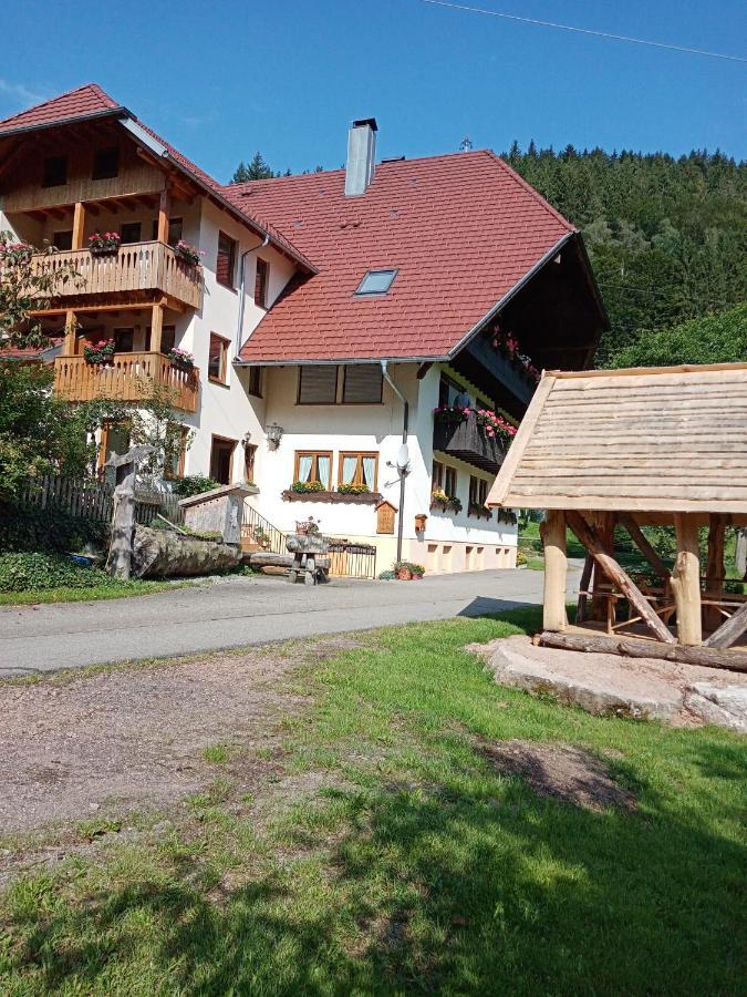 Urlaub Auf Dem Haenslehof Apartment Elzach