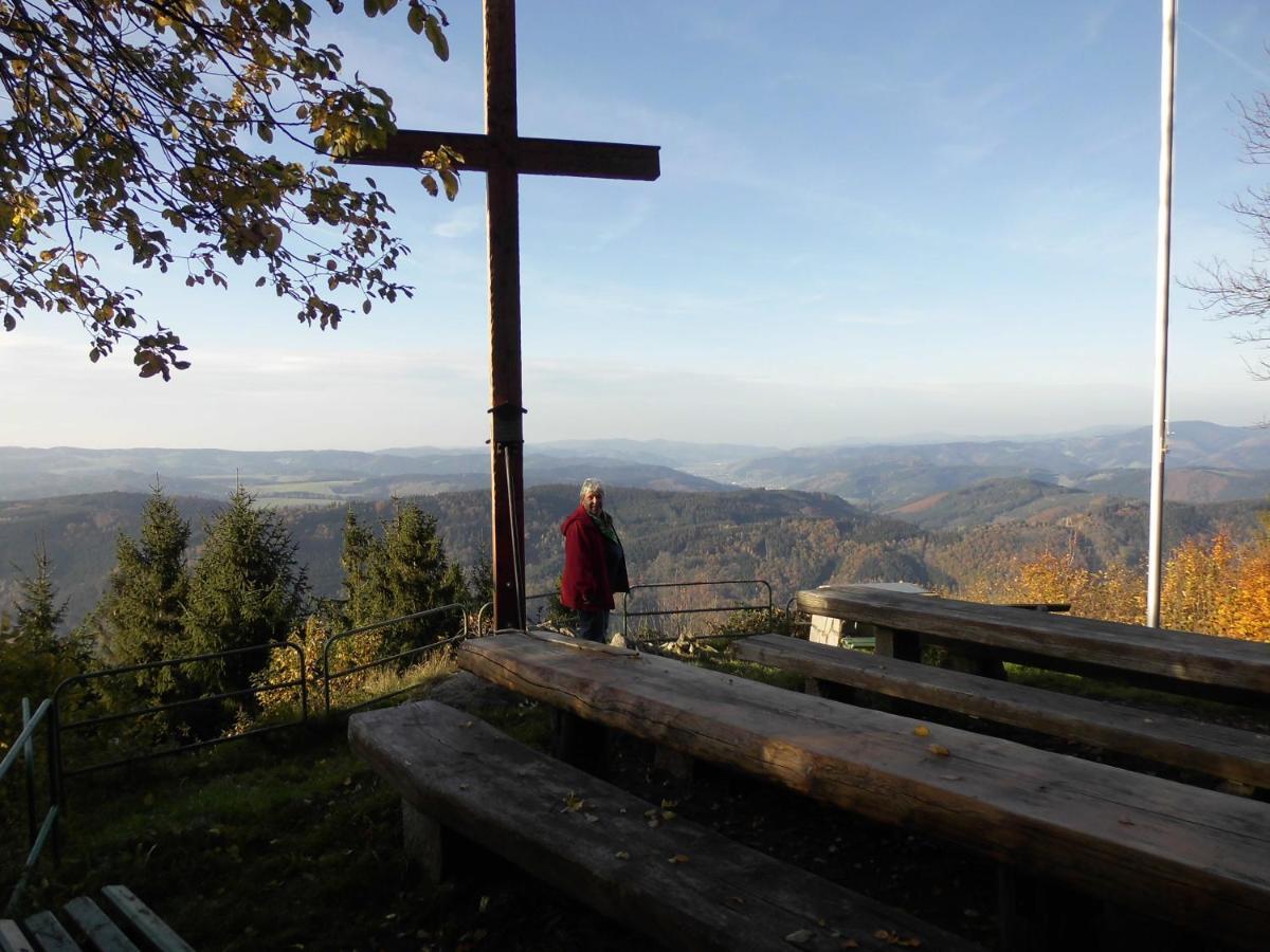 Urlaub Auf Dem Haenslehof *