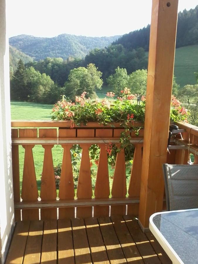 Urlaub Auf Dem Haenslehof Apartment *