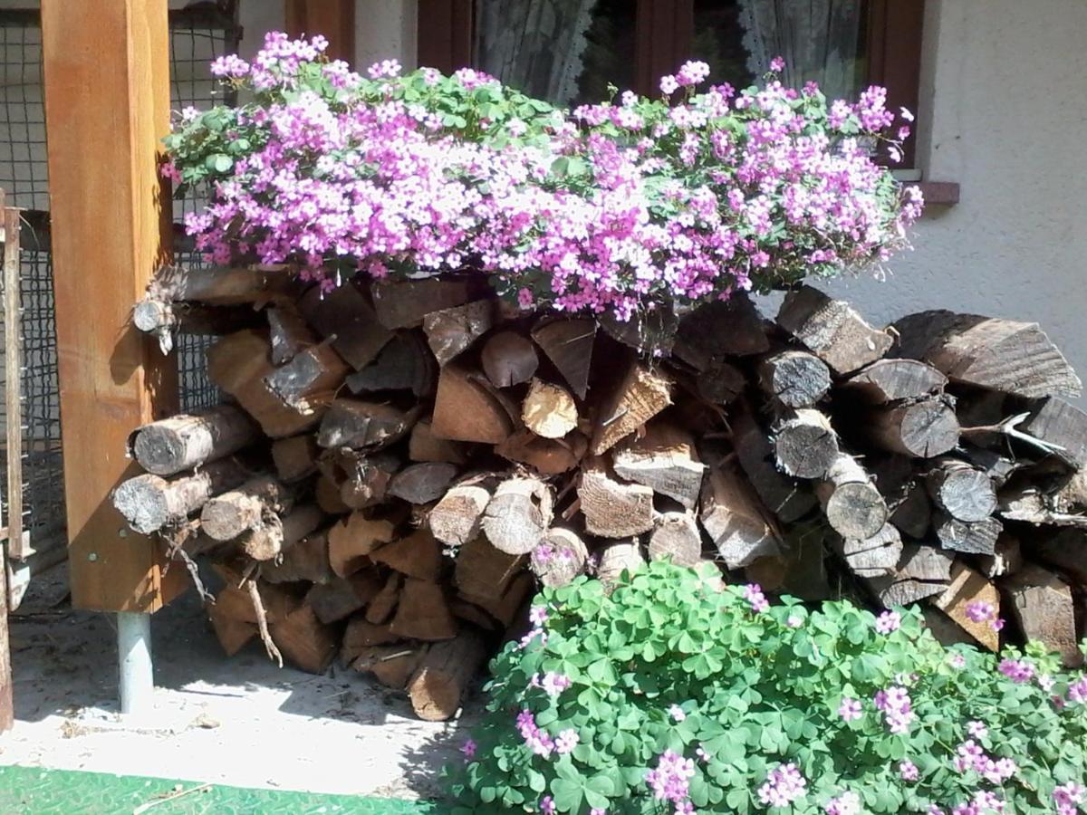 Urlaub Auf Dem Haenslehof Apartment Elzach