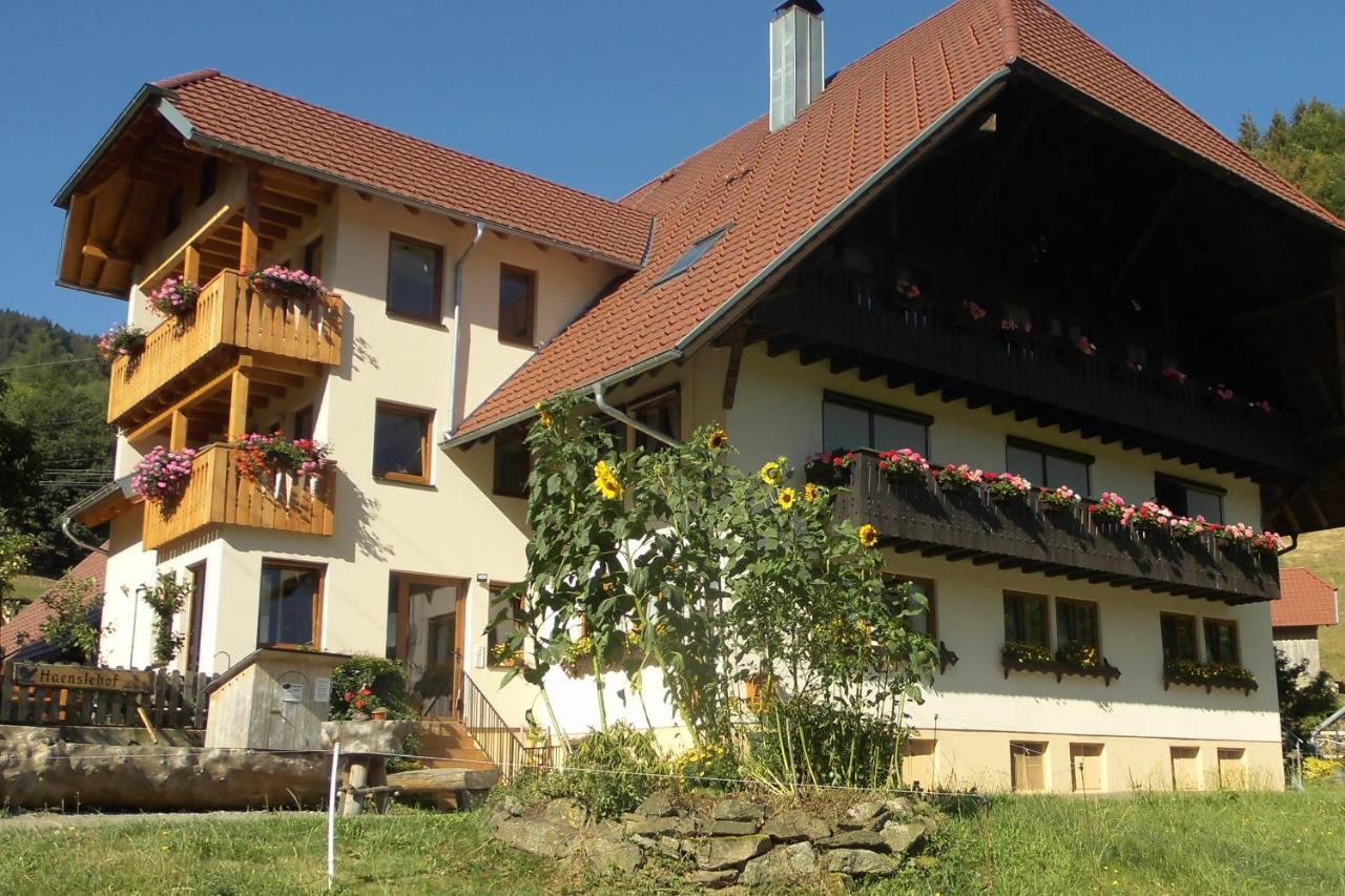 Apartment Urlaub Auf Dem Haenslehof Elzach