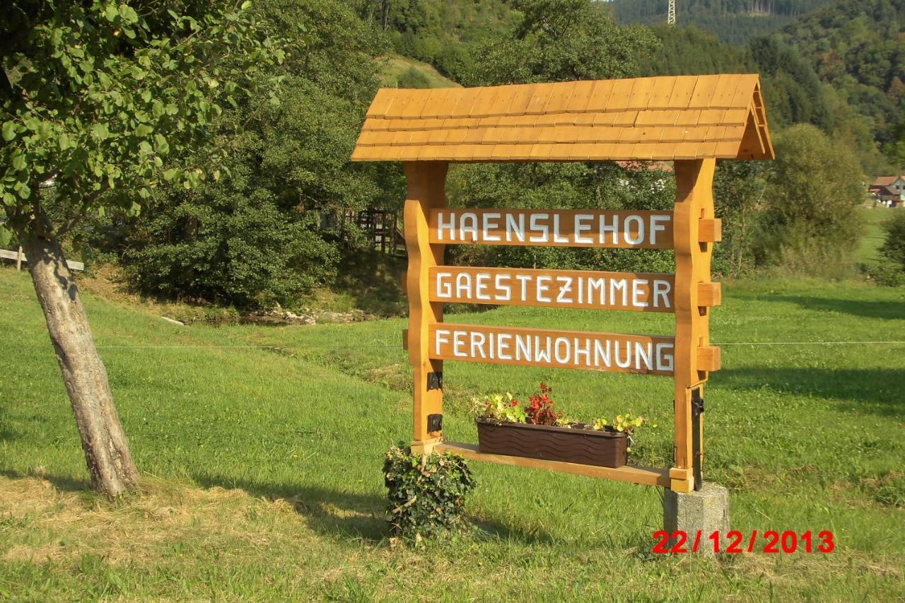 Urlaub Auf Dem Haenslehof Apartment Elzach