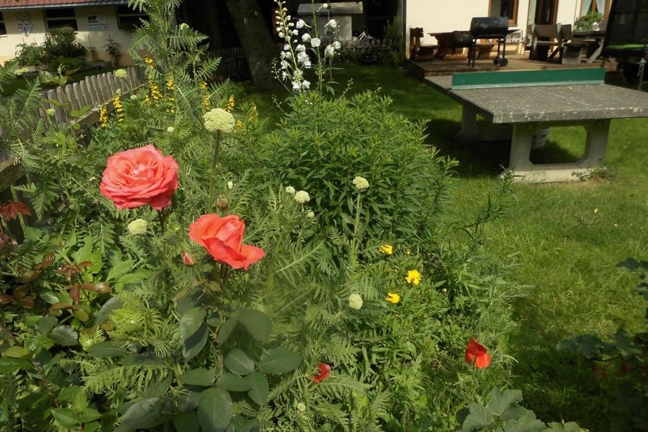 Urlaub Auf Dem Haenslehof Apartment Elzach