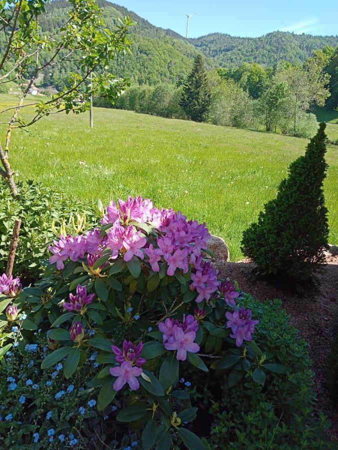 Urlaub Auf Dem Haenslehof *