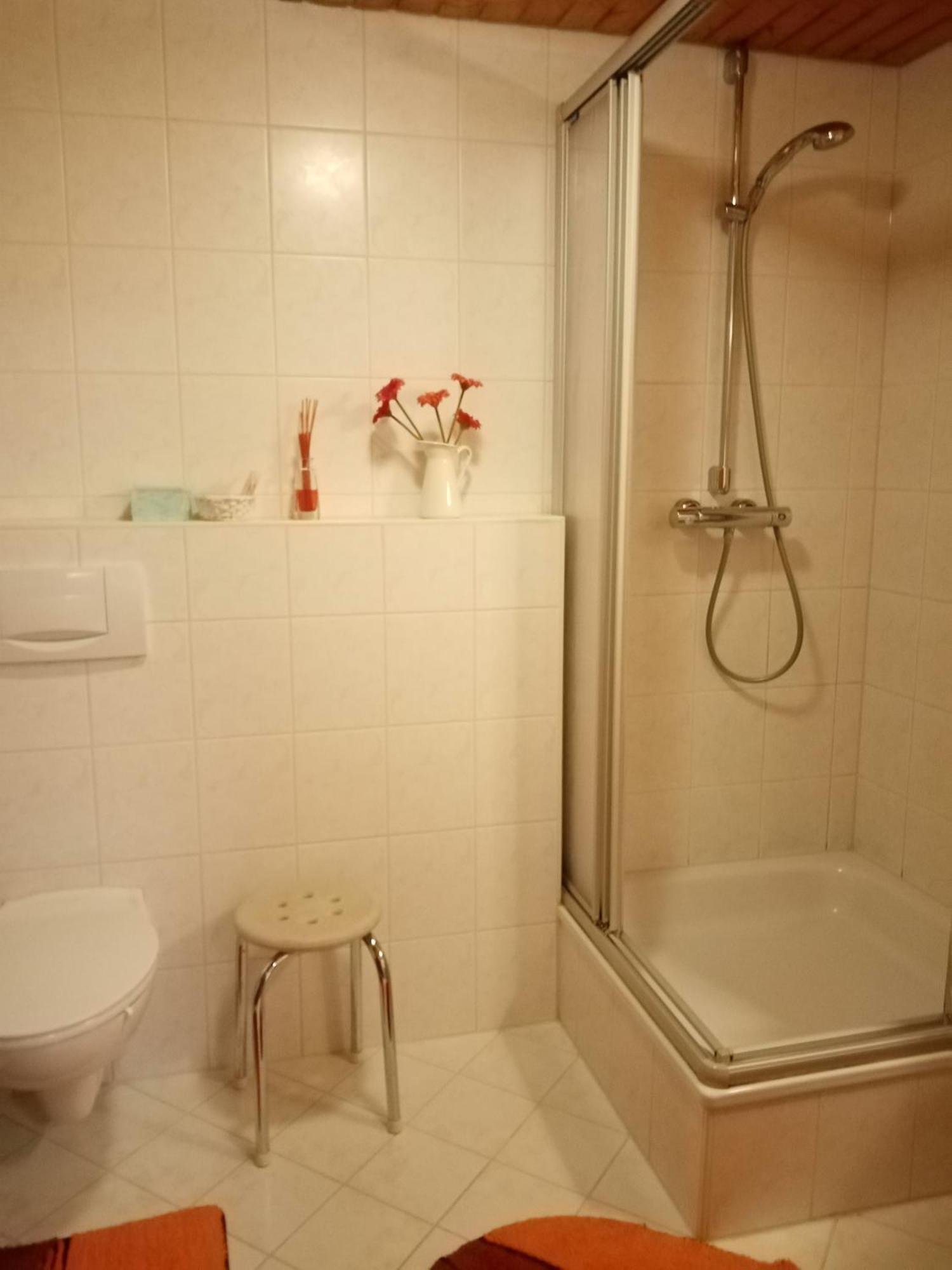 Urlaub Auf Dem Haenslehof Apartment *