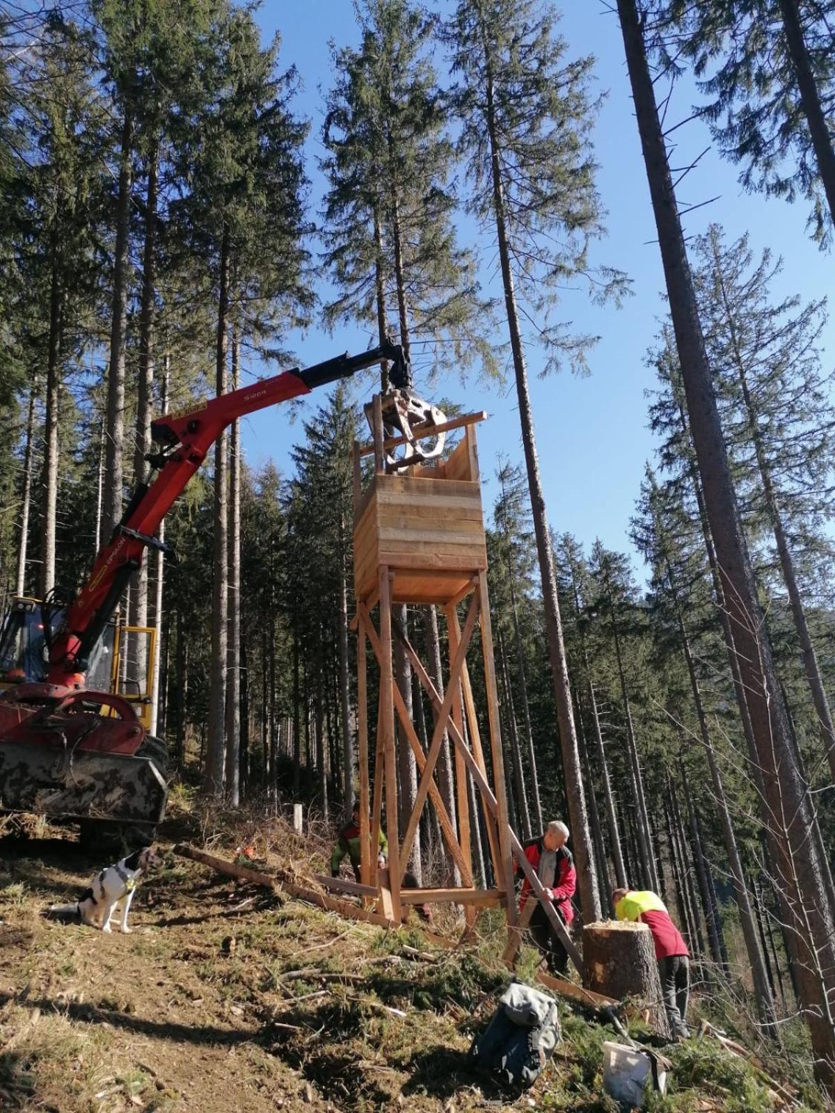 Urlaub Auf Dem Haenslehof * Elzach