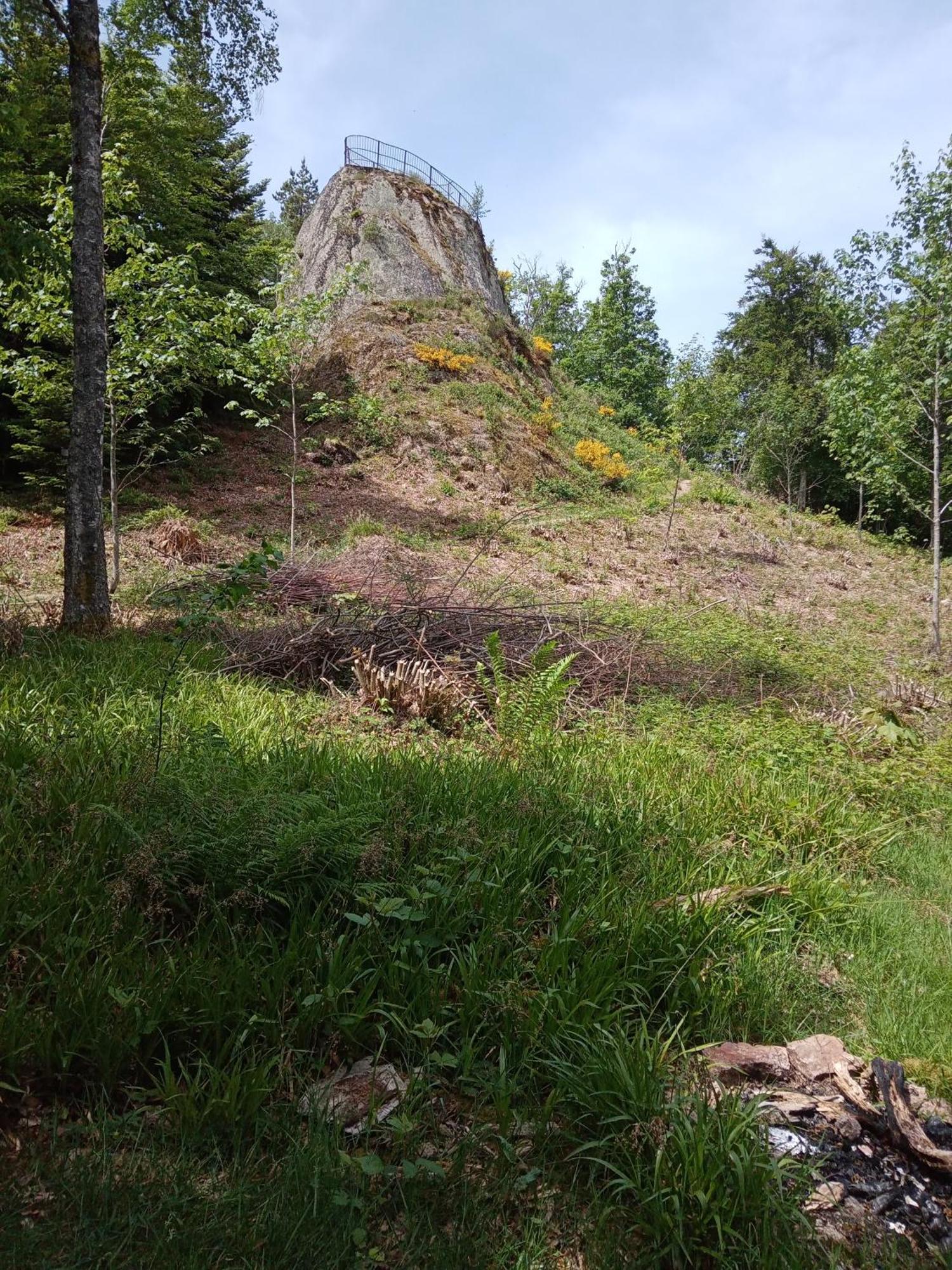 Urlaub Auf Dem Haenslehof Elzach