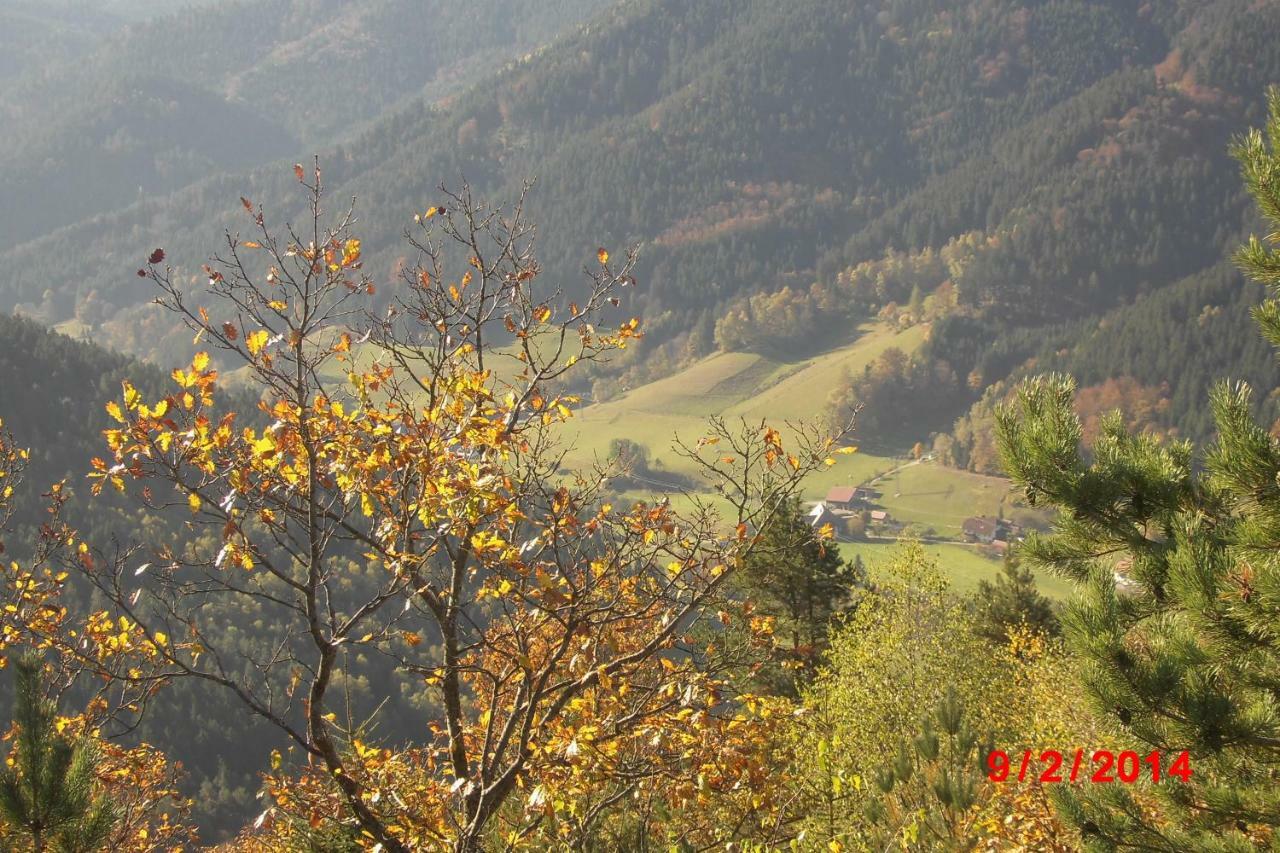 Urlaub Auf Dem Haenslehof *