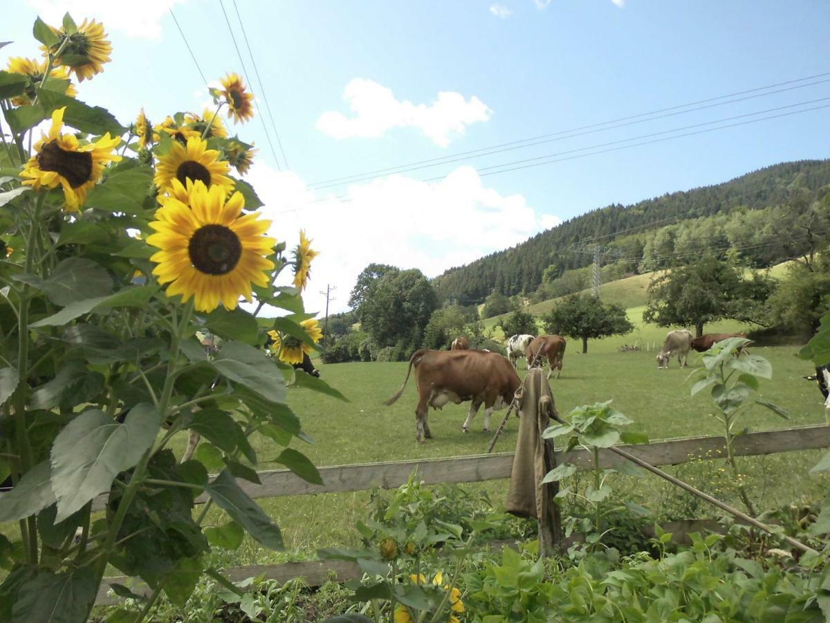 Apartment Urlaub Auf Dem Haenslehof Elzach